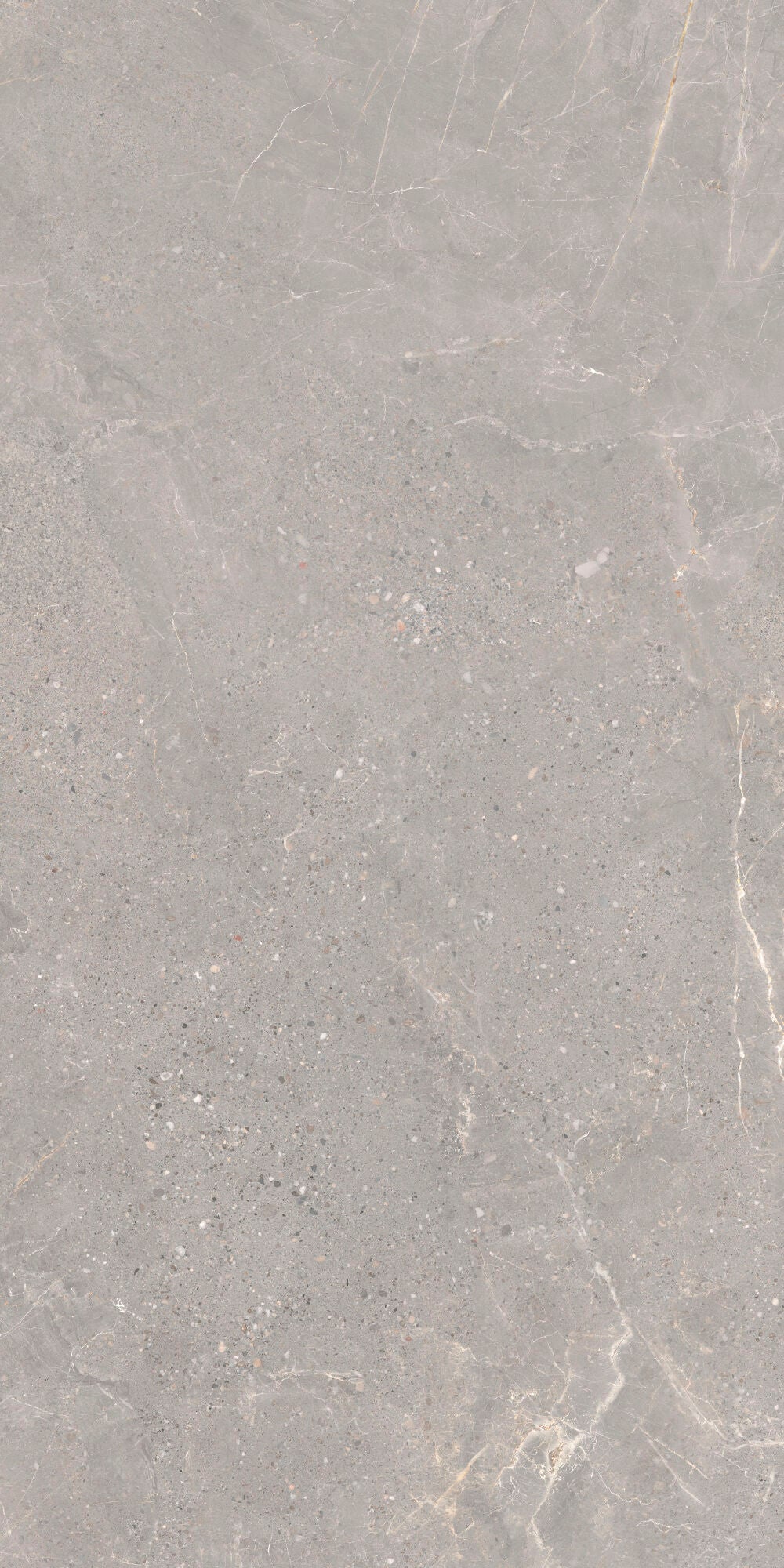 Alchemy Iron 60x120cm - £49.99 per M² matt porcelain tile showcasing elegant grey tones and delicate veining.