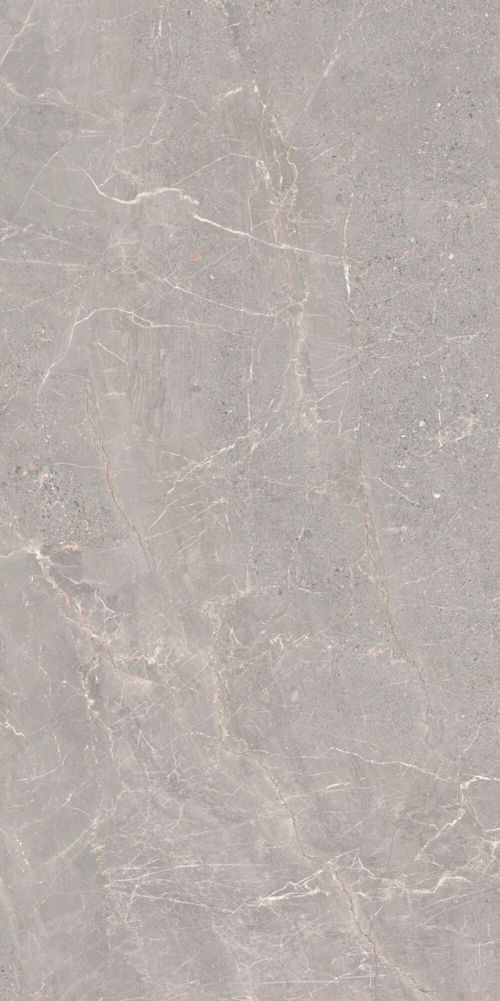 Alchemy Iron 60x120cm - £49.99 per M², elegant grey porcelain tile with delicate veining.