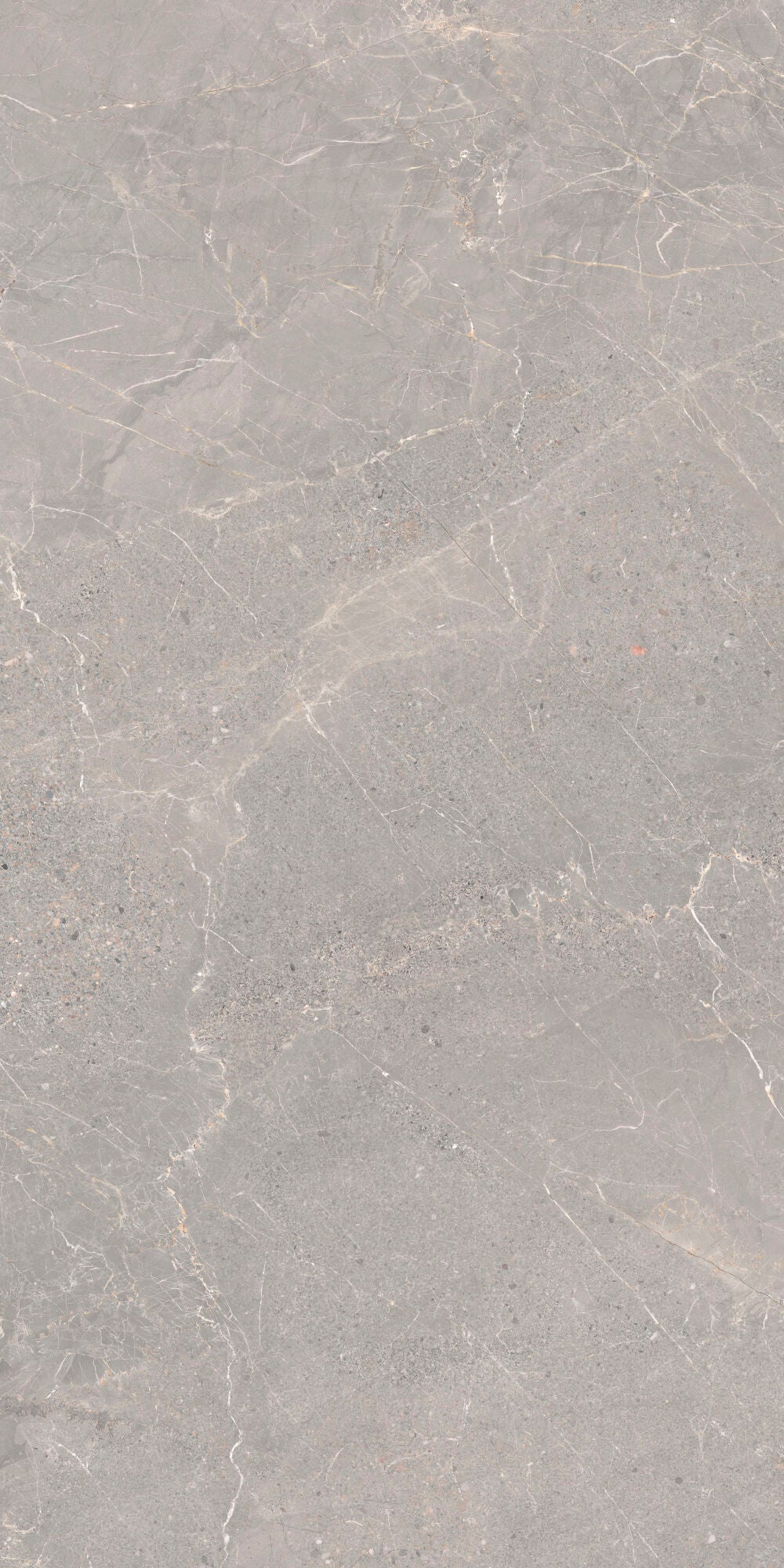 Alchemy Iron 60x120cm - £49.99 per M², elegant grey porcelain tile with delicate veining.