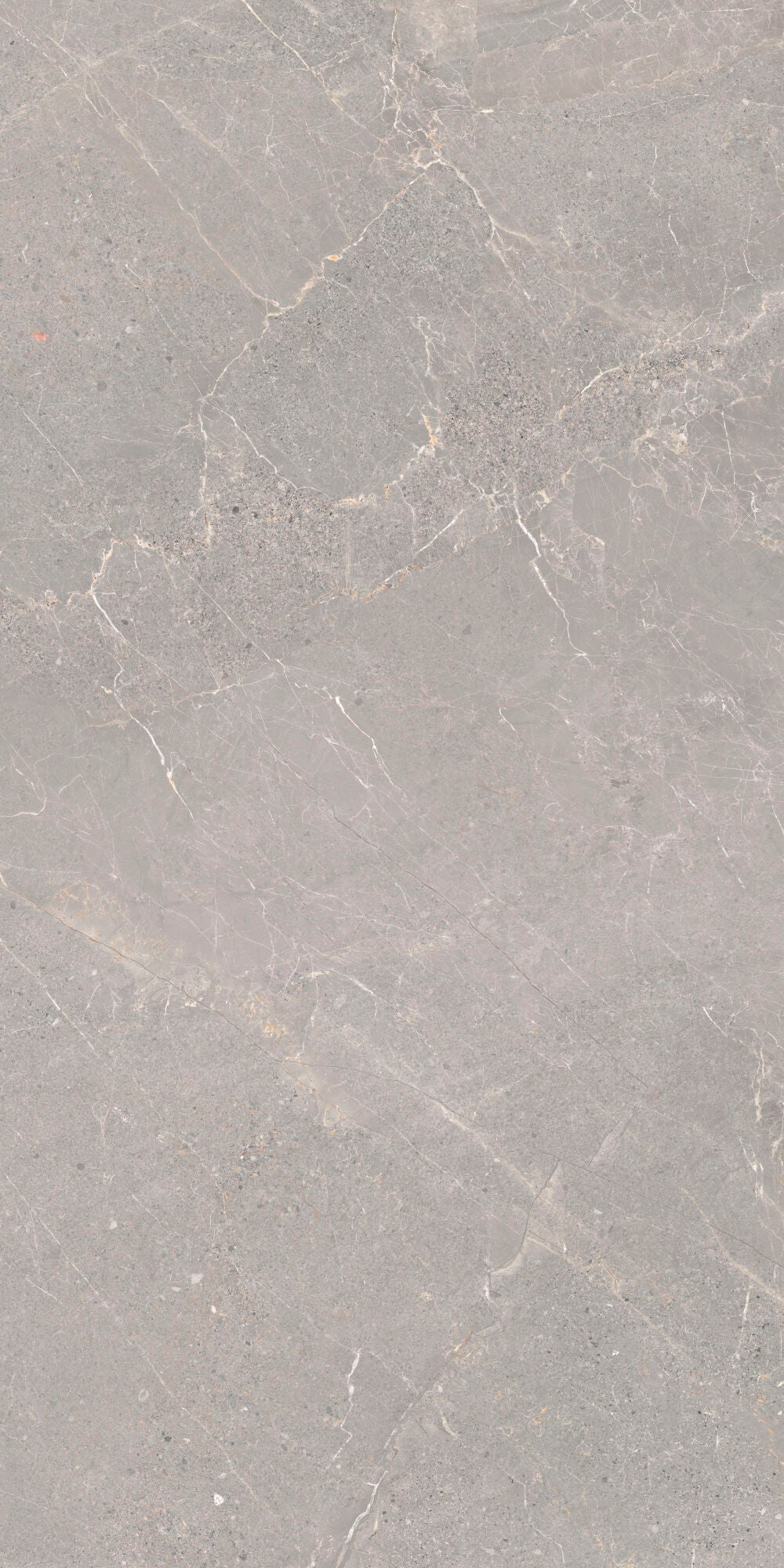 Alchemy Iron 60x120cm - £49.99 per M² porcelain tile with grey tones and delicate veining.