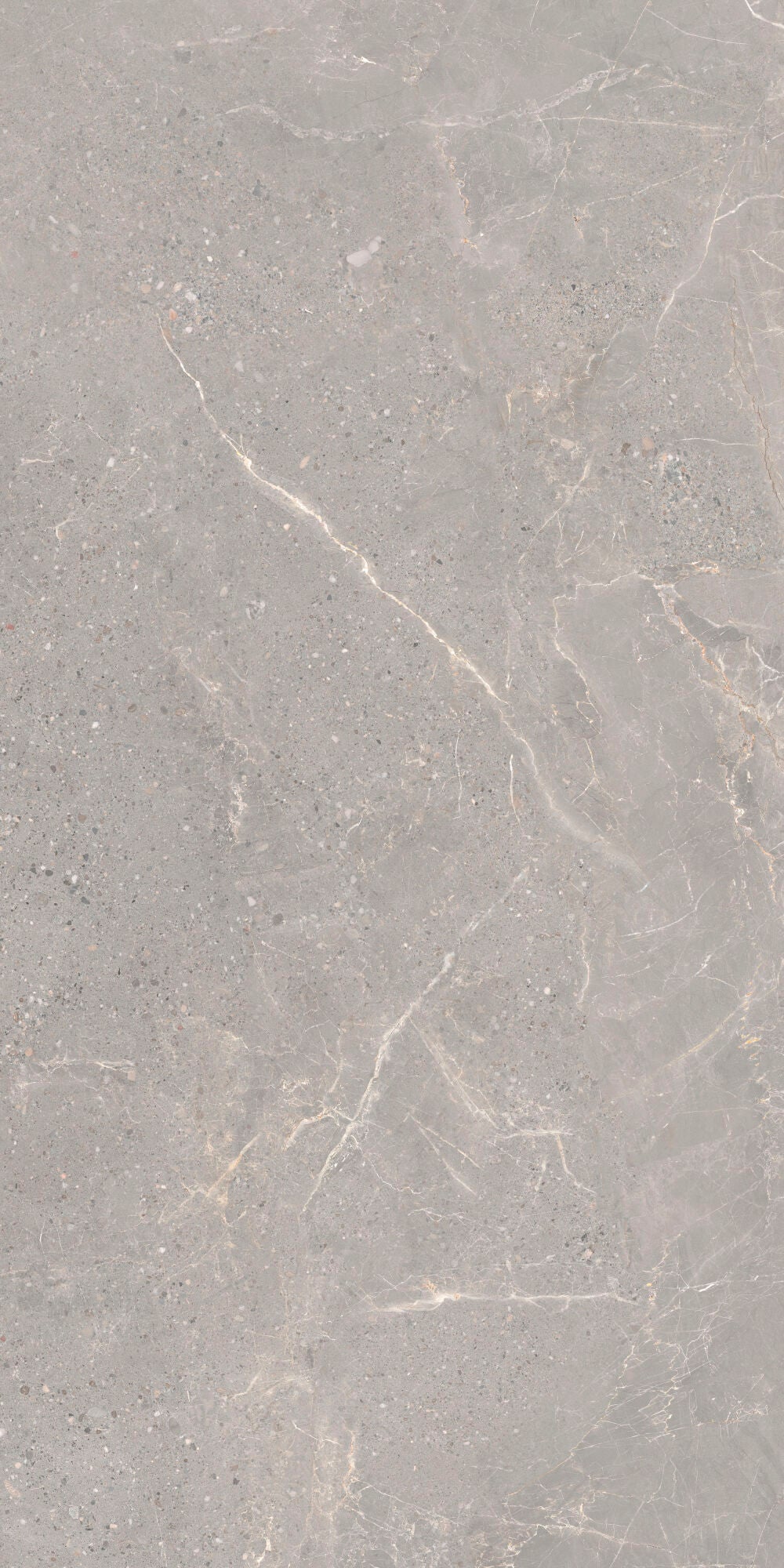 Alchemy Iron 60x120cm - £49.99 per M² porcelain tile in elegant grey tones with delicate veining.