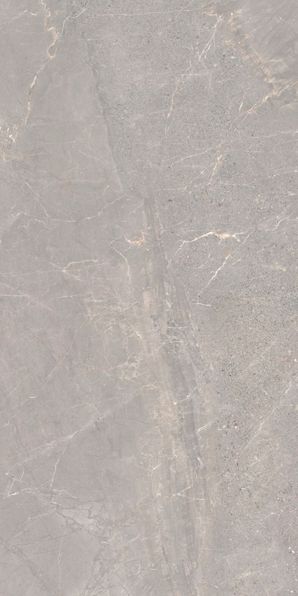 Alchemy Iron 60x120cm - £49.99 per M², grey porcelain tile with delicate veining and matt finish.