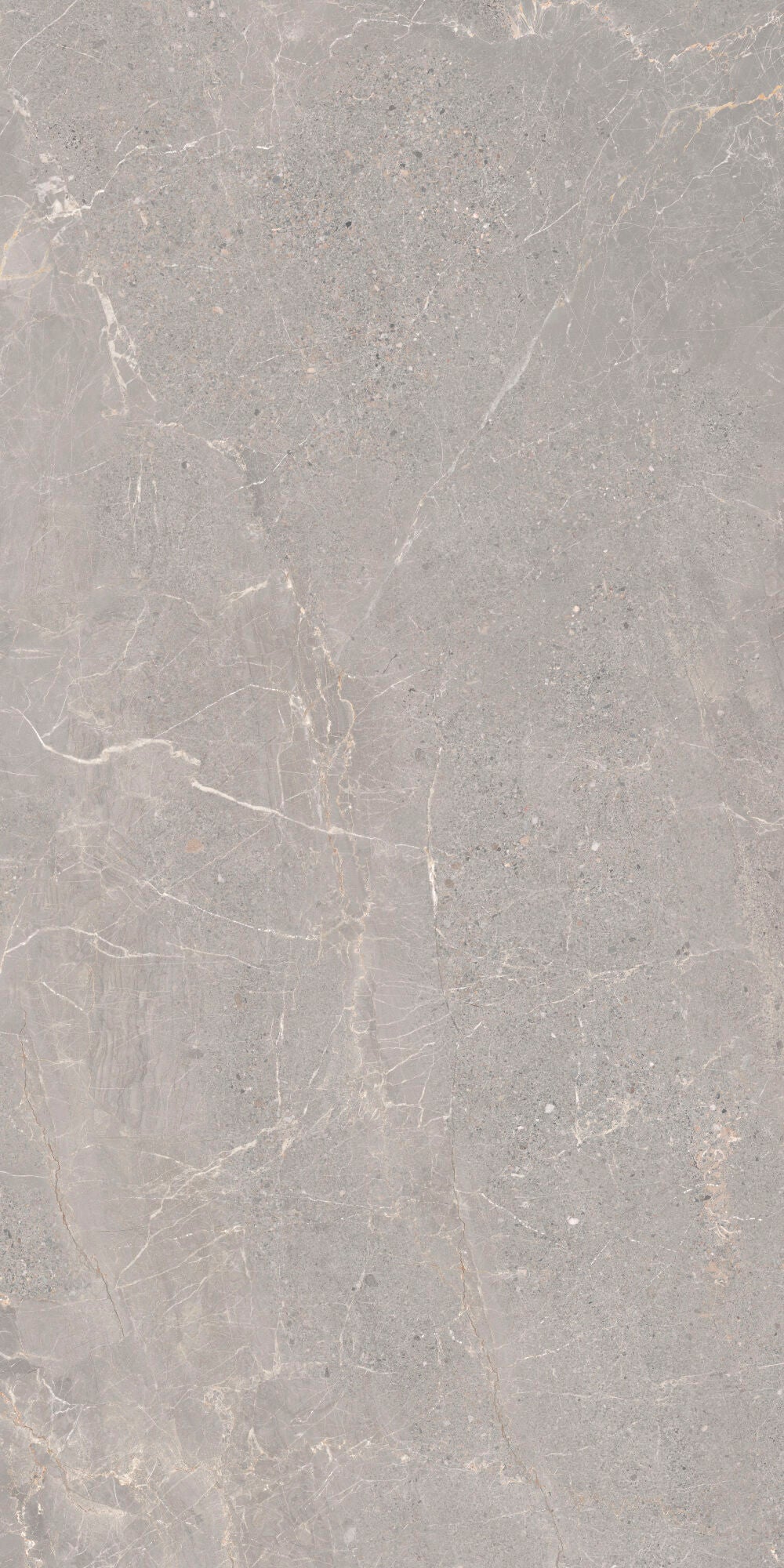 Alchemy Iron 60x120cm - £49.99 per M² featuring a luxurious grey porcelain tile with subtle veining.