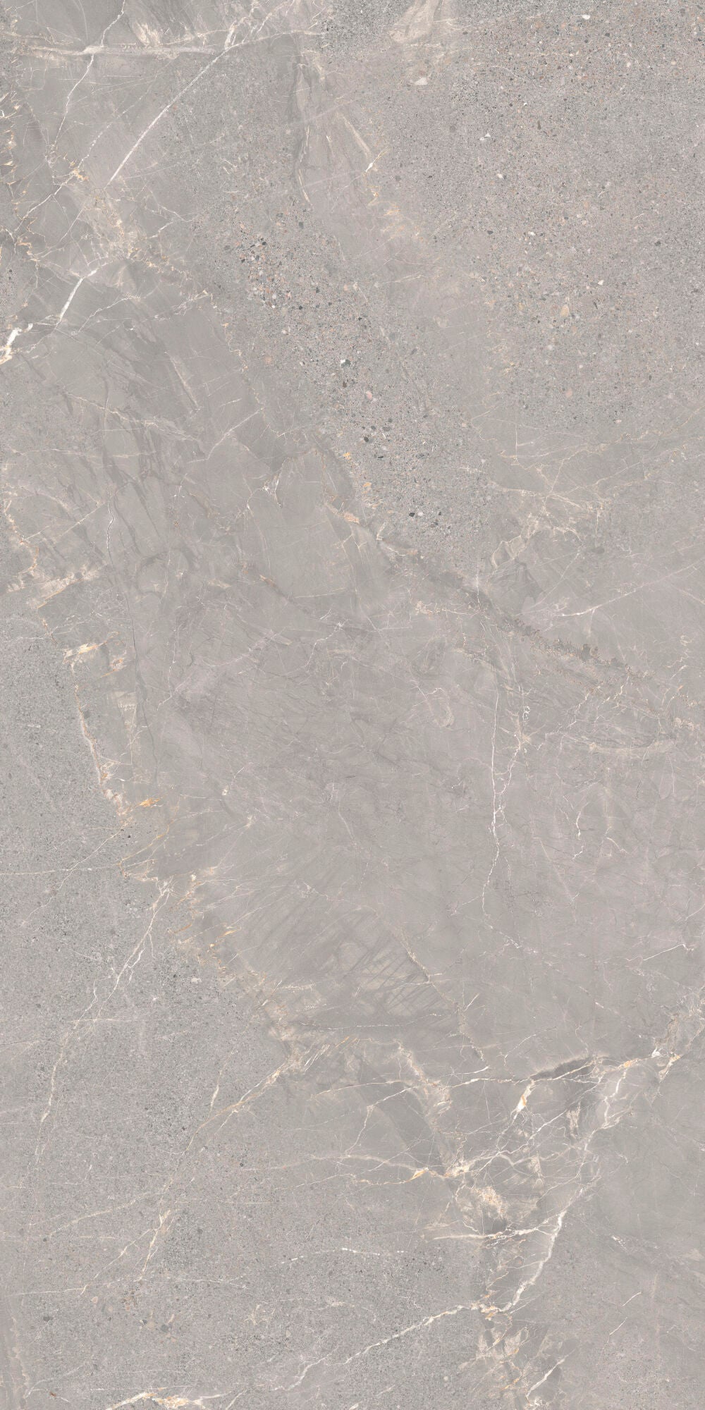 Alchemy Iron 60x120cm - £49.99 per M² porcelain tile with a subtle grey pattern and elegant veining.
