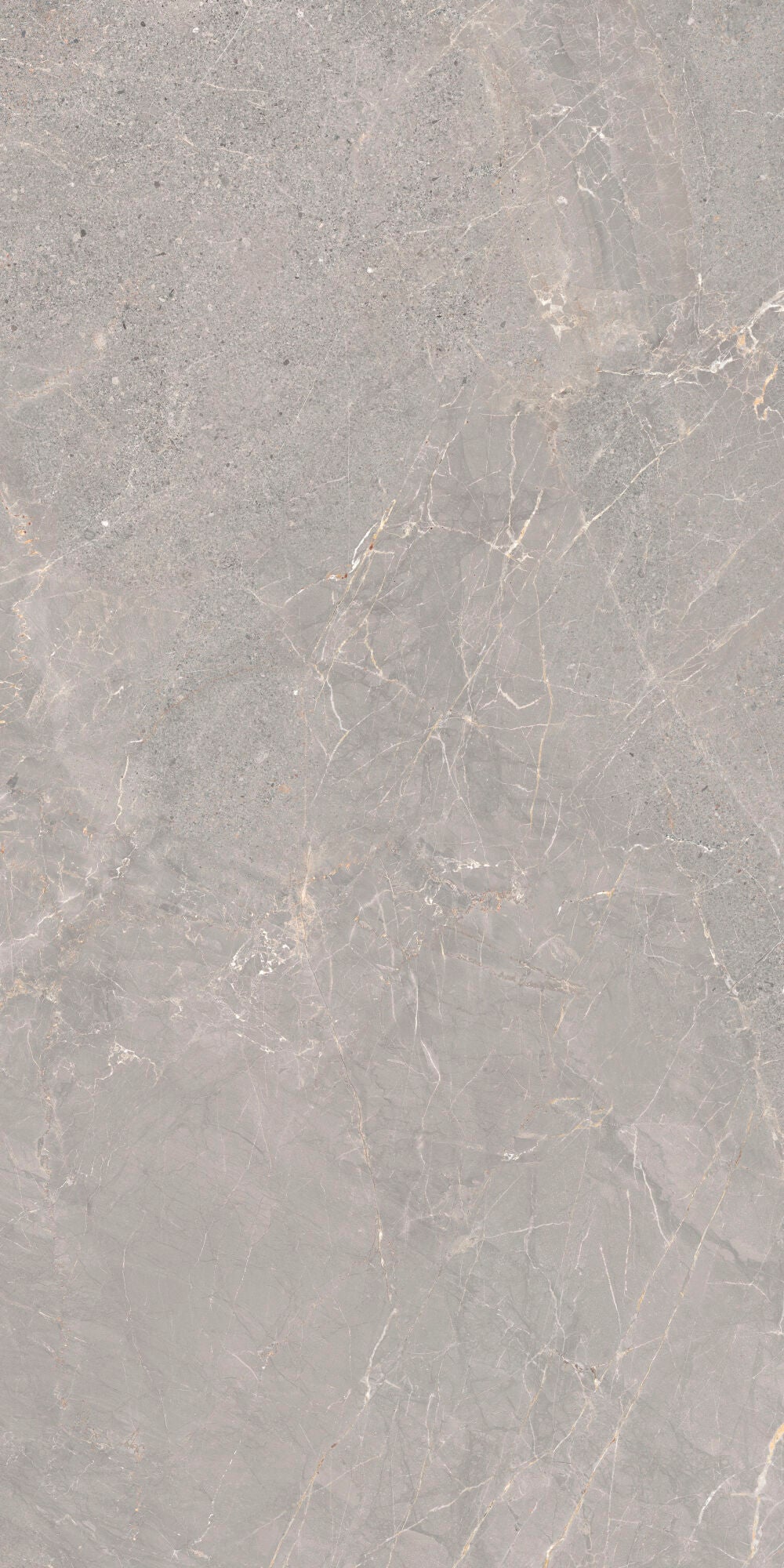 Alchemy Iron 60x120cm - £49.99 per M² - matt porcelain tile with grey tones and subtle veining.