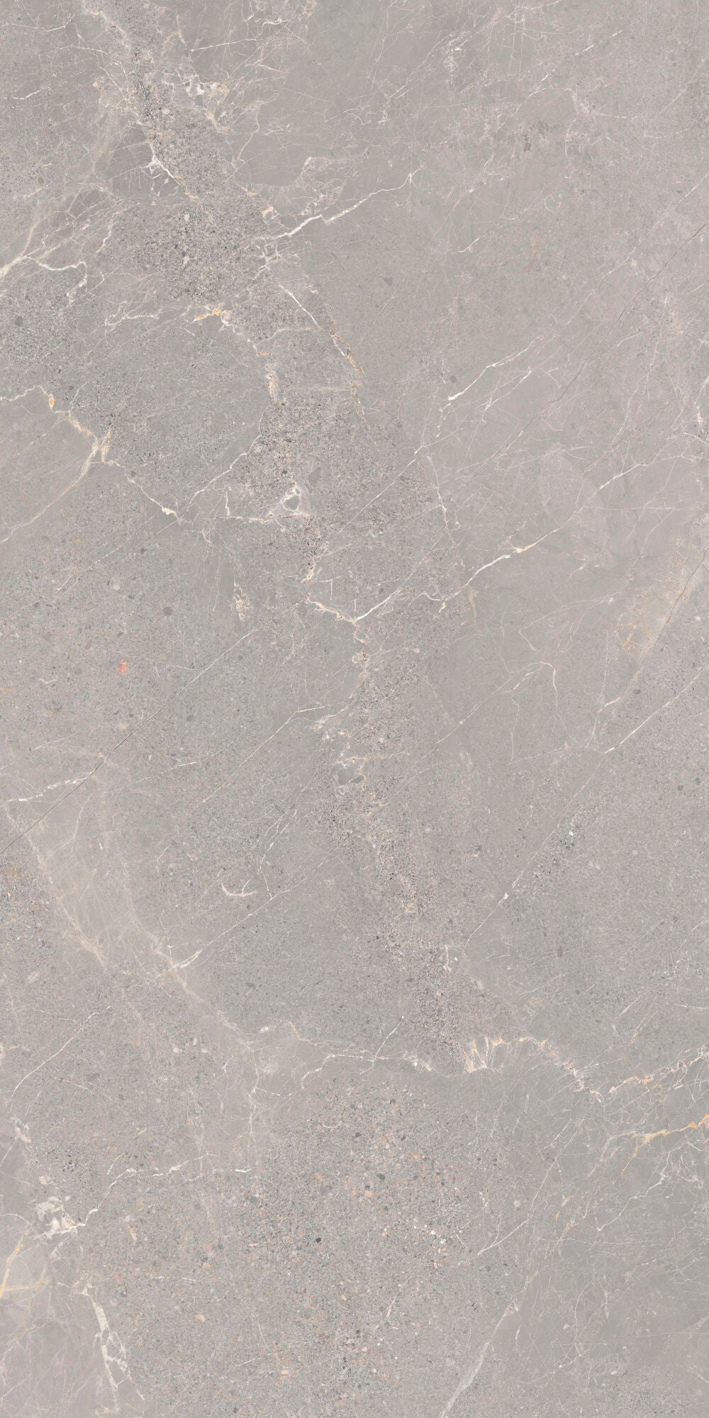 Alchemy Iron 60x120cm - £49.99 per M² grey porcelain tile with elegant veining.