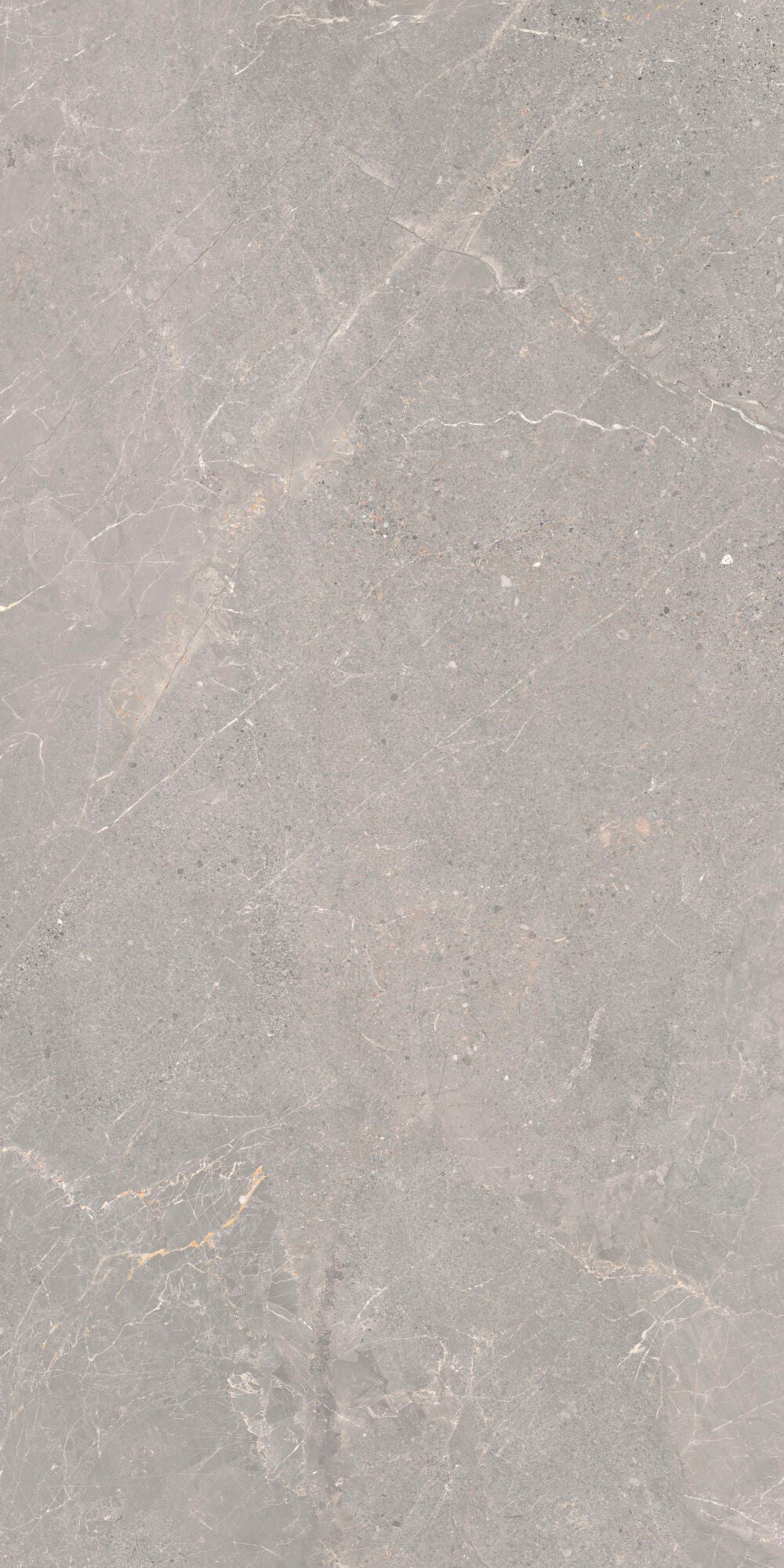 Alchemy Iron 60x120cm - £49.99 per M² - Matt porcelain tile with subtle gray tones and veining.