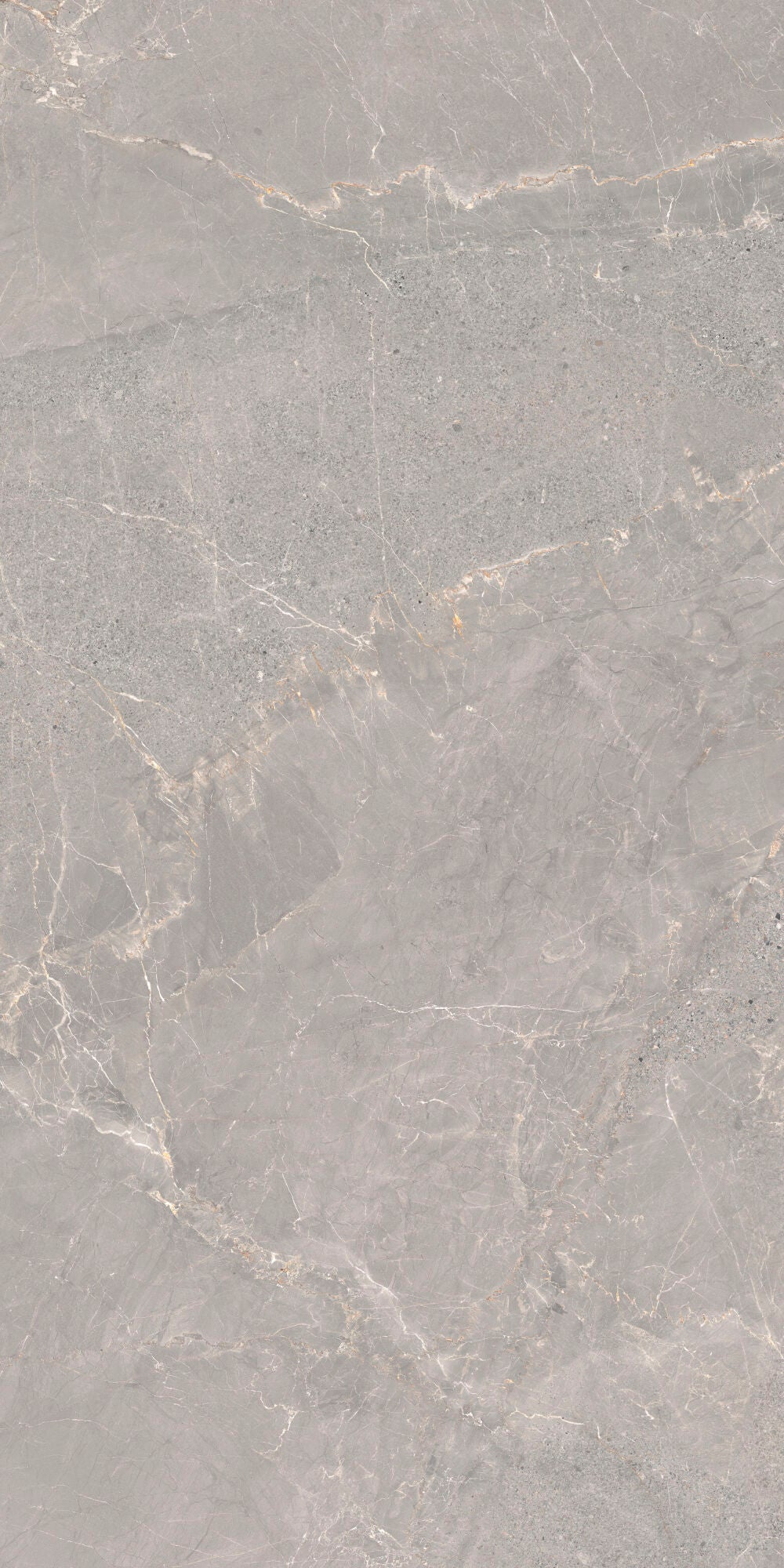 Alchemy Iron 60x120cm - £49.99 per M² - Matt porcelain tile with industrial grey tones and delicate veining.
