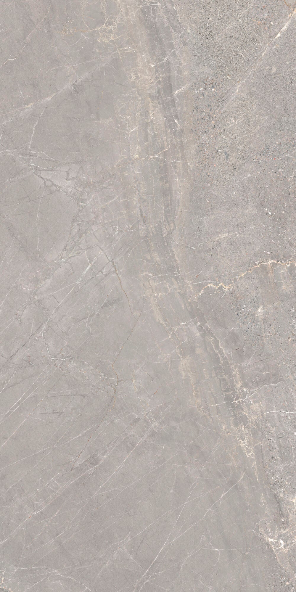 Alchemy Iron 60x120cm - £49.99 per M² porcelain tile with grey tones and delicate veining.