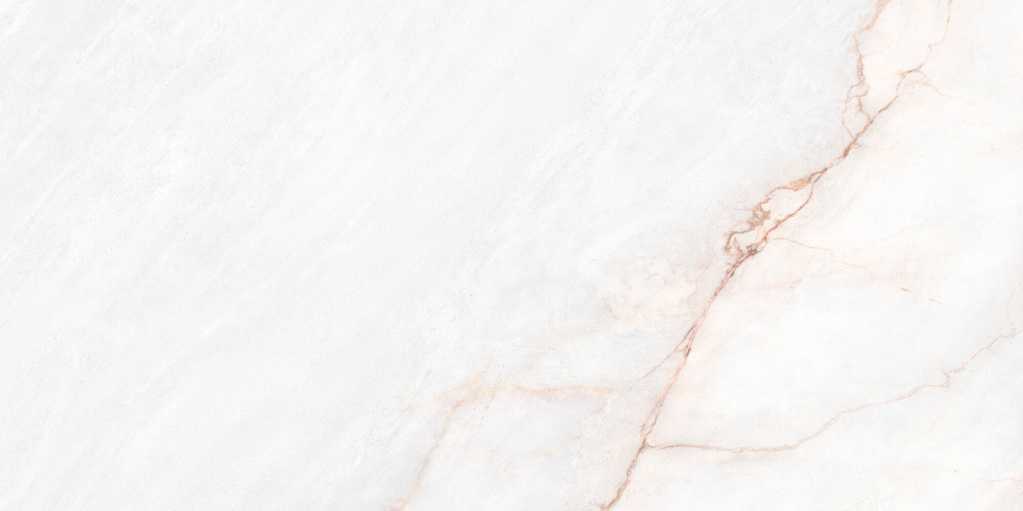 Lia White Matt 60x120cm - £52.99 per M²