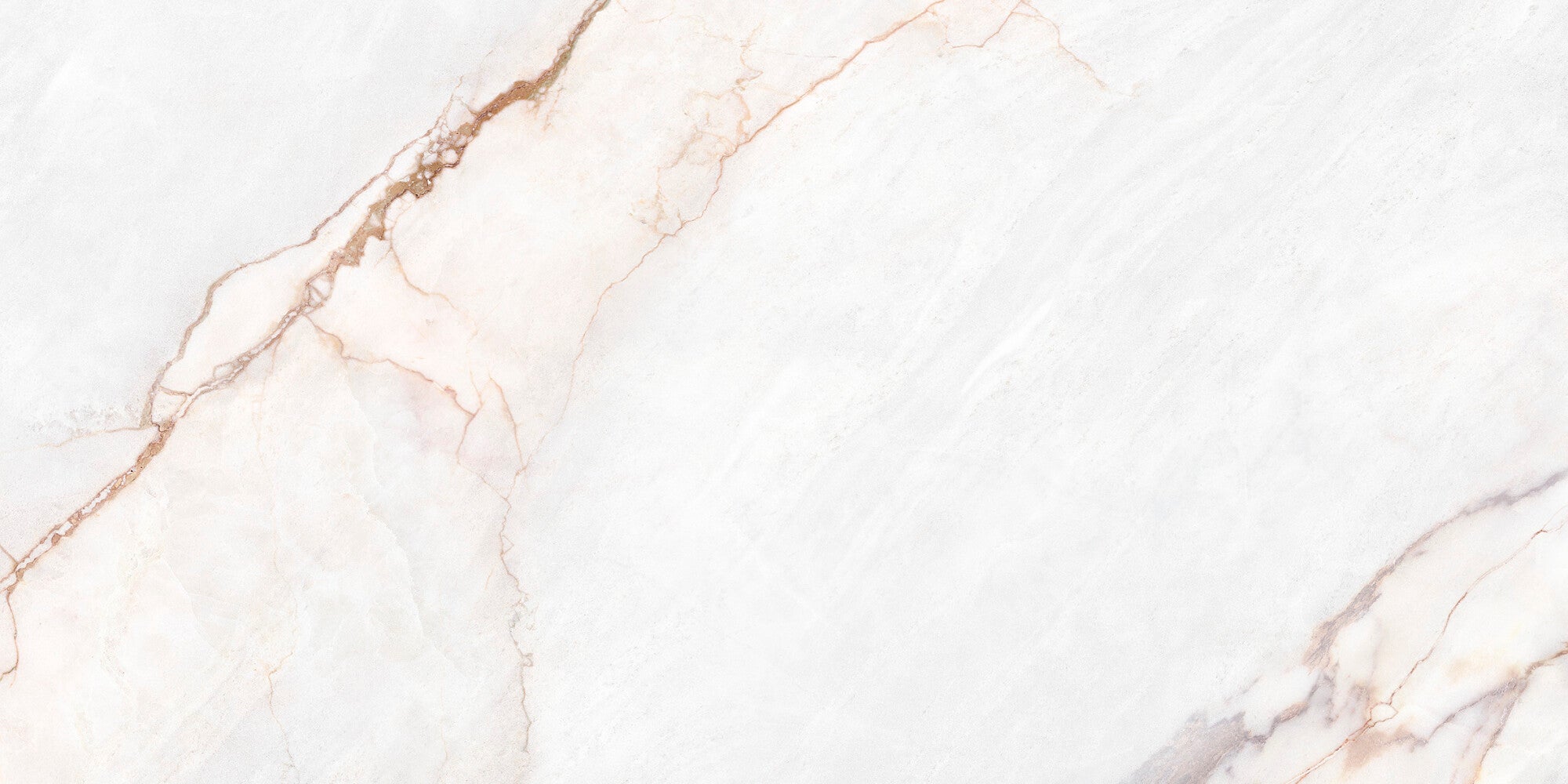 Lia White Matt 60x120cm - £52.99 per M²