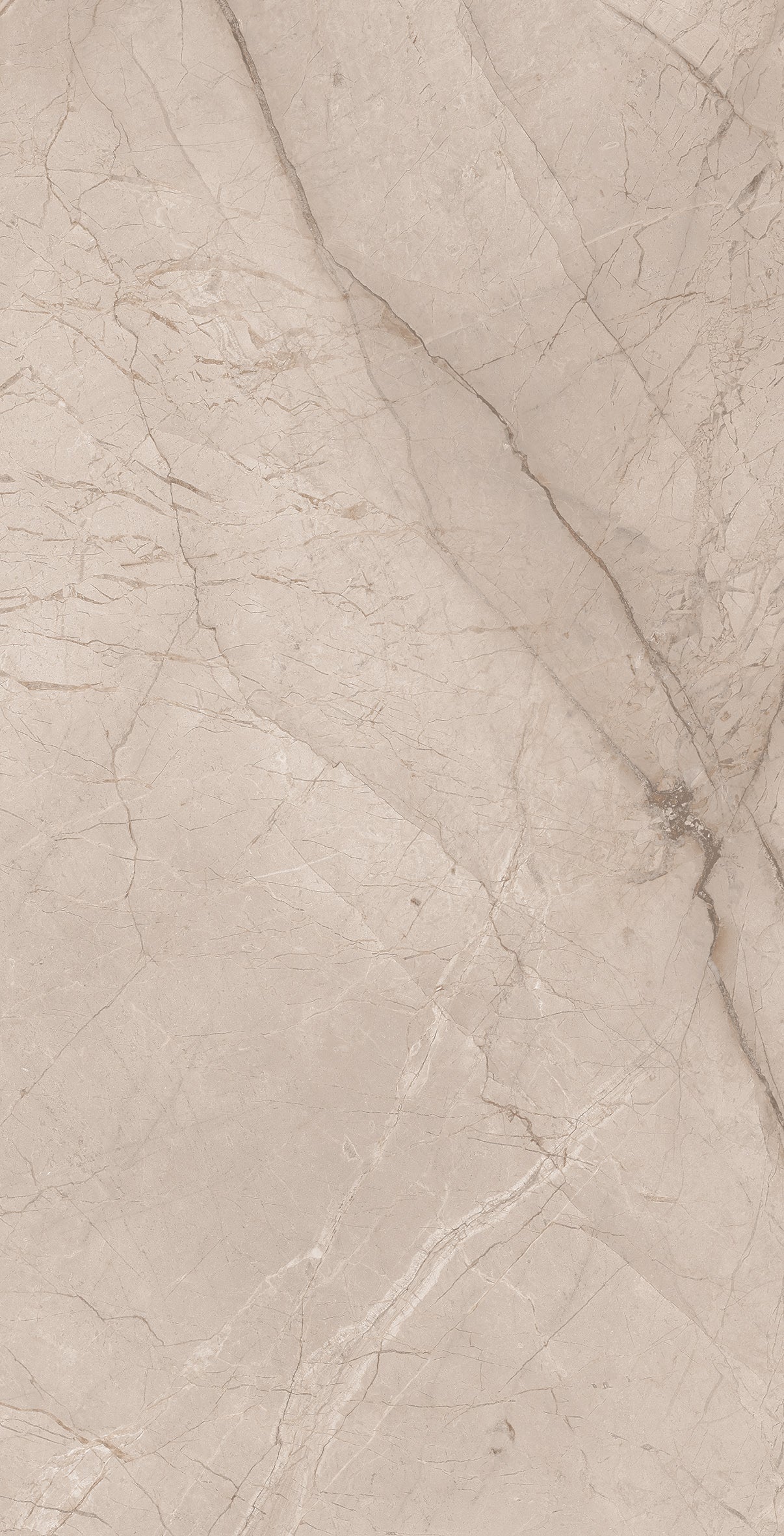 Divine Tusk 30x60cm - £22.99 per M²