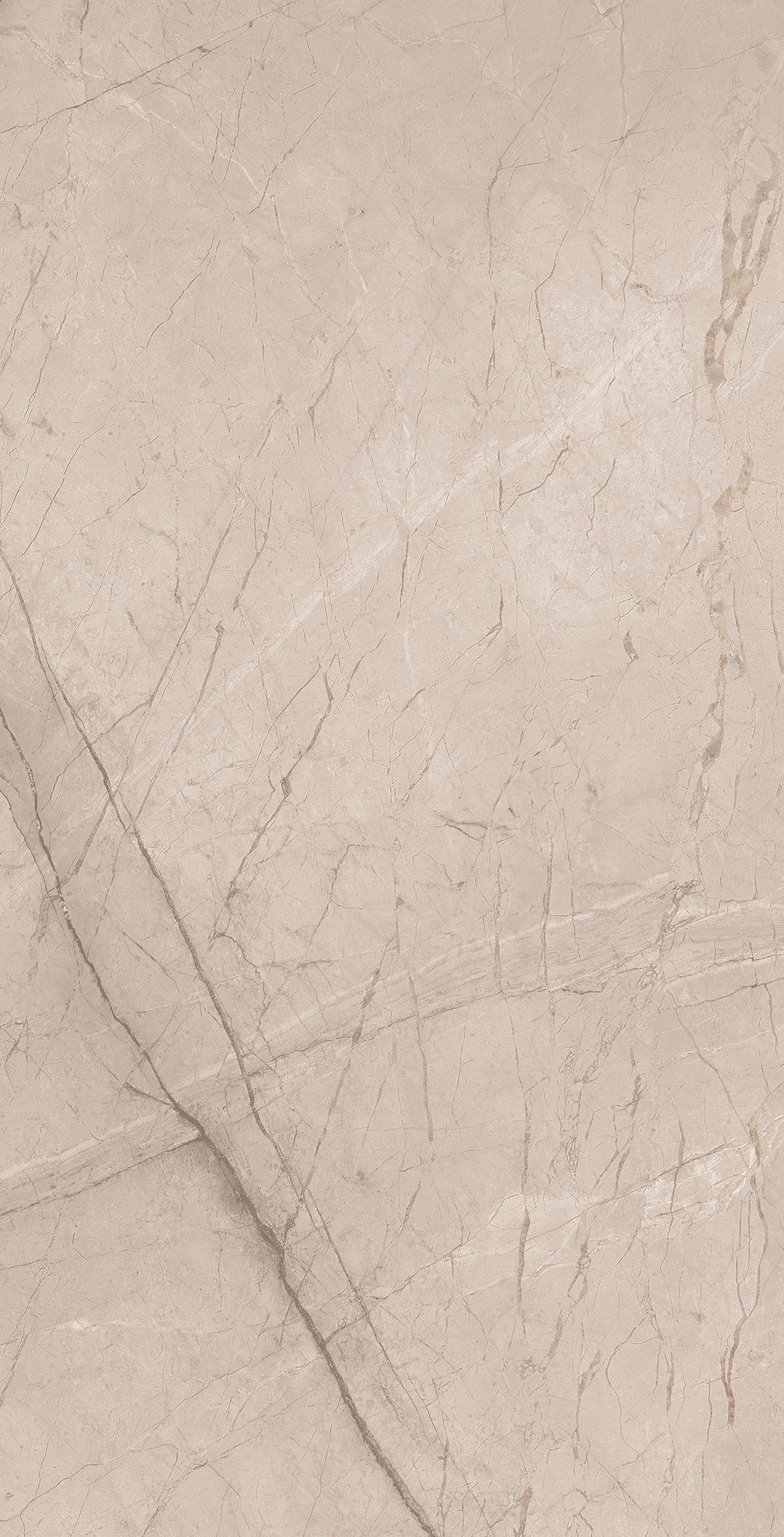 Divine Tusk 30x60cm - £22.99 per M²