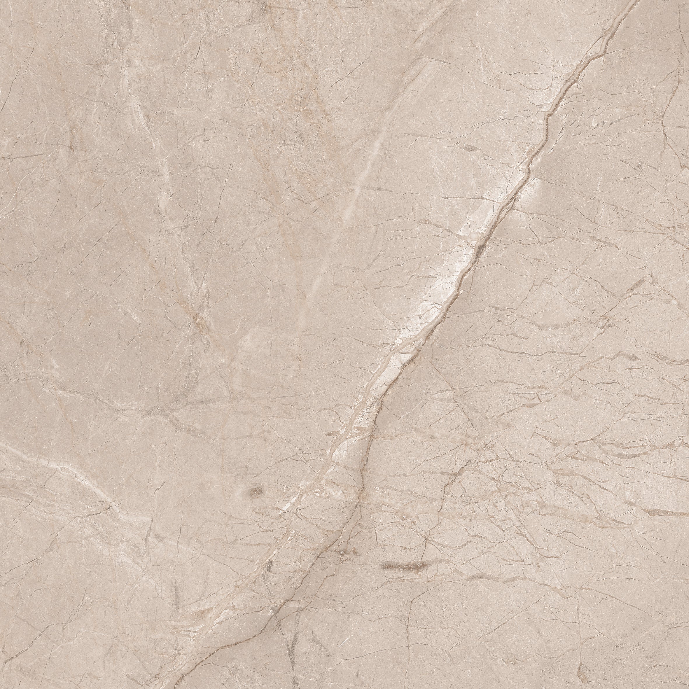 Divine Tusk 60x60cm - £22.99 per M²