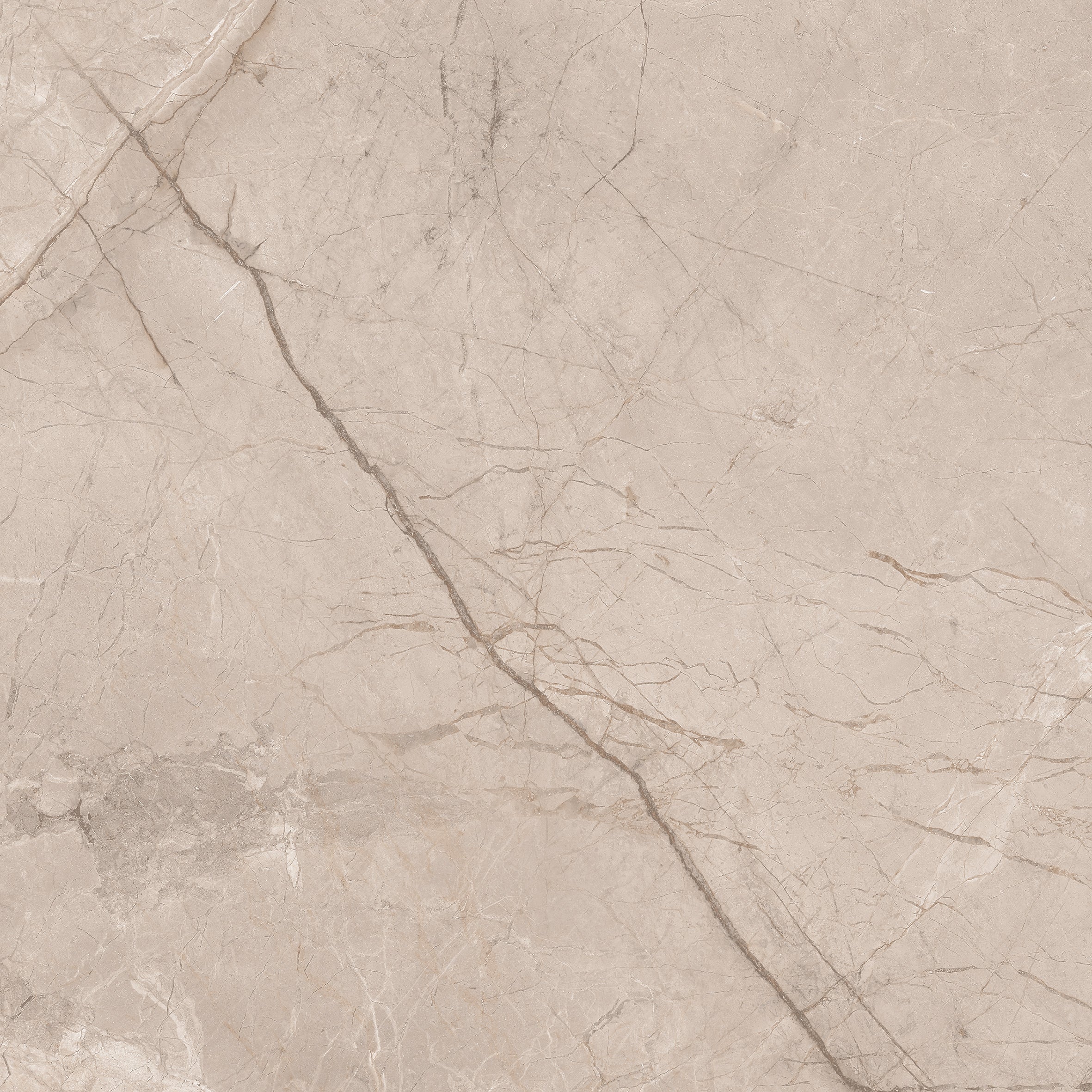 Divine Tusk 60x60cm - £22.99 per M²