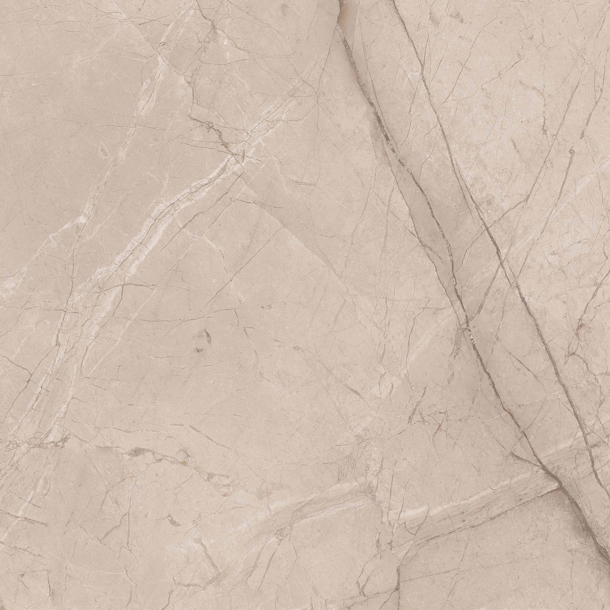 Divine Tusk 60x60cm - £22.99 per M²