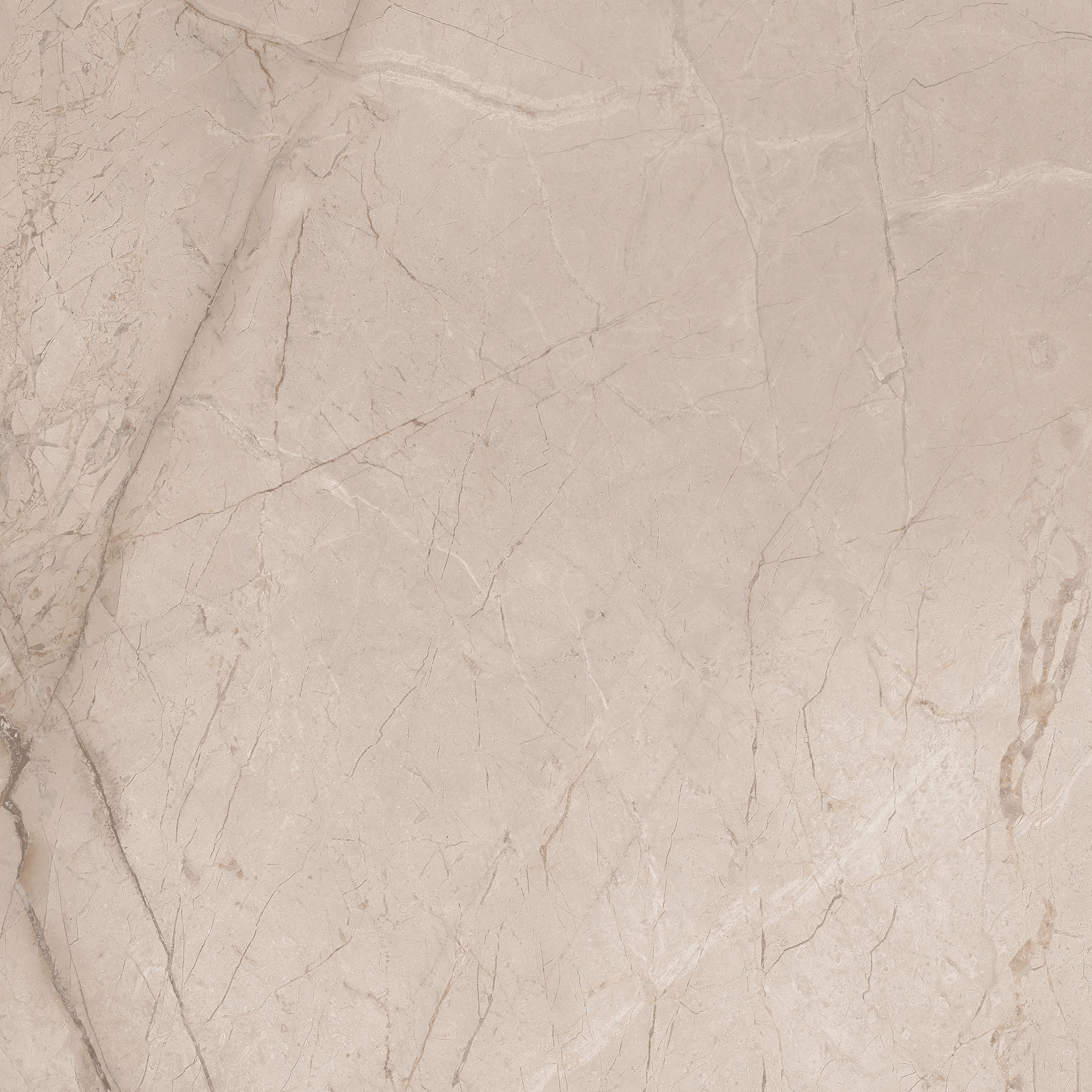 Divine Tusk 60x60cm - £22.99 per M²