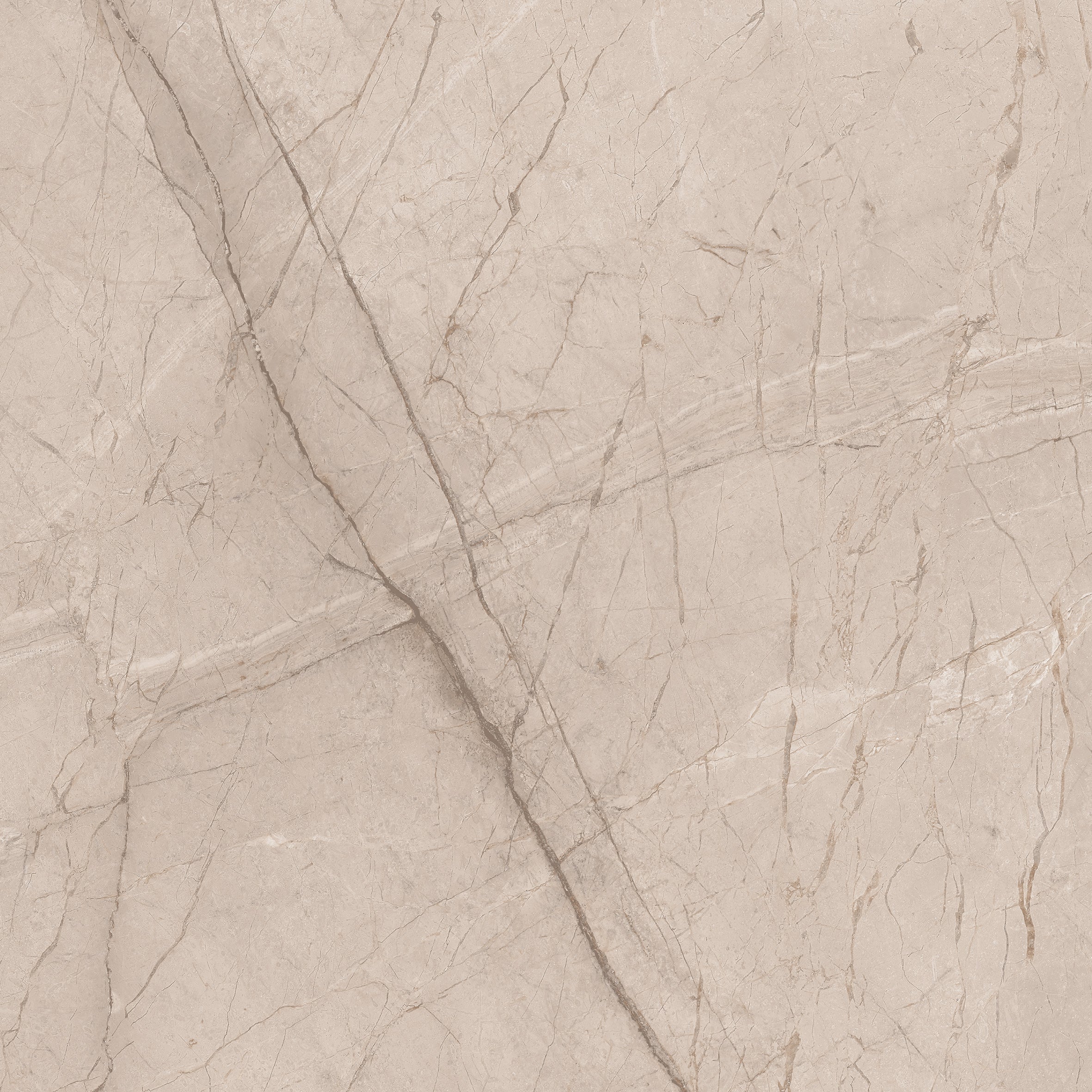 Divine Tusk 60x60cm - £22.99 per M²