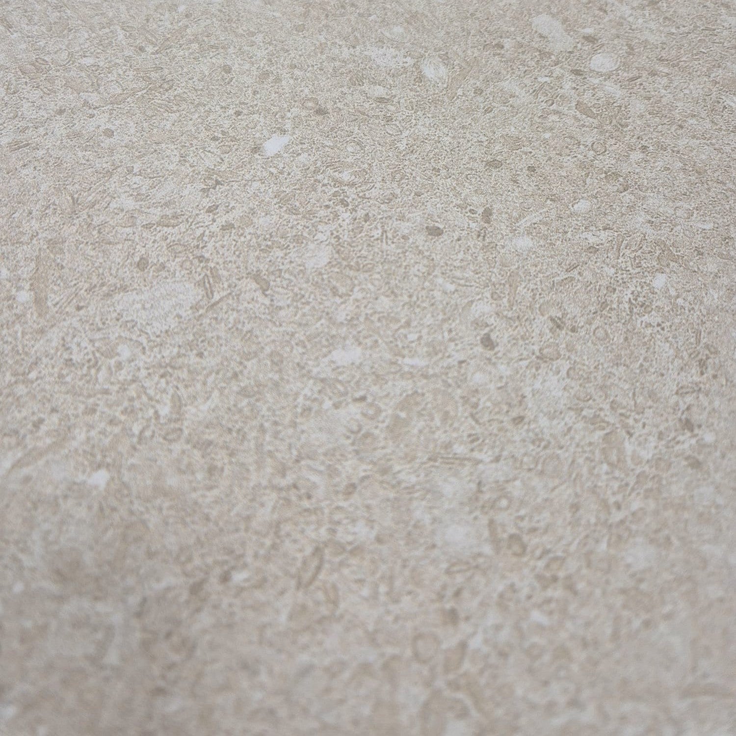 Close-up of Ette Natural surface showcasing warm sandy hues and fossil-like detailing.