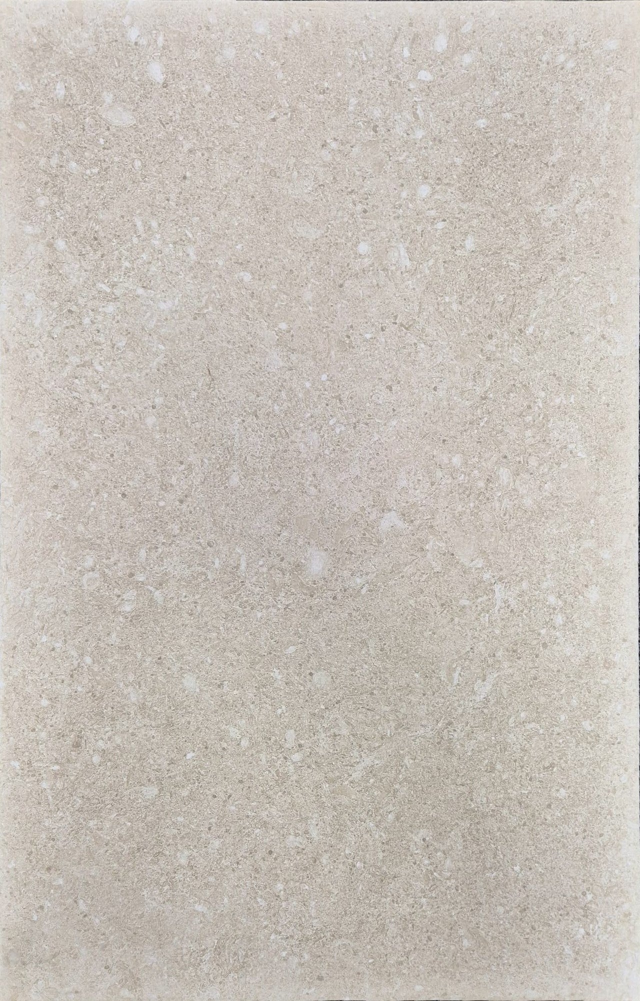Ette Natural 60x90cm surface with warm sandy hues and delicate fossil-like detailing.