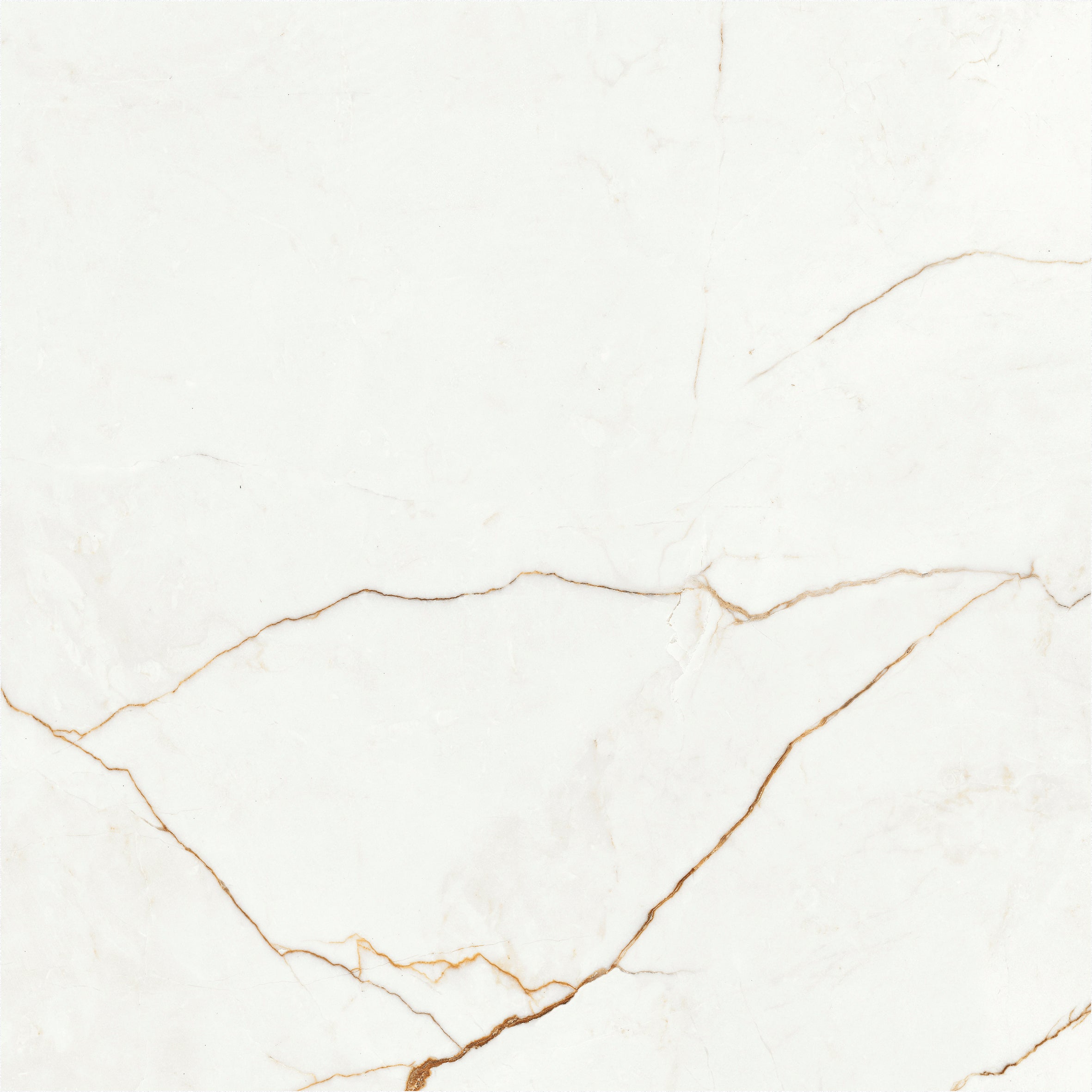 Quant Gold polished tile with striking gold and grey veining on a white surface, size 60x60cm.