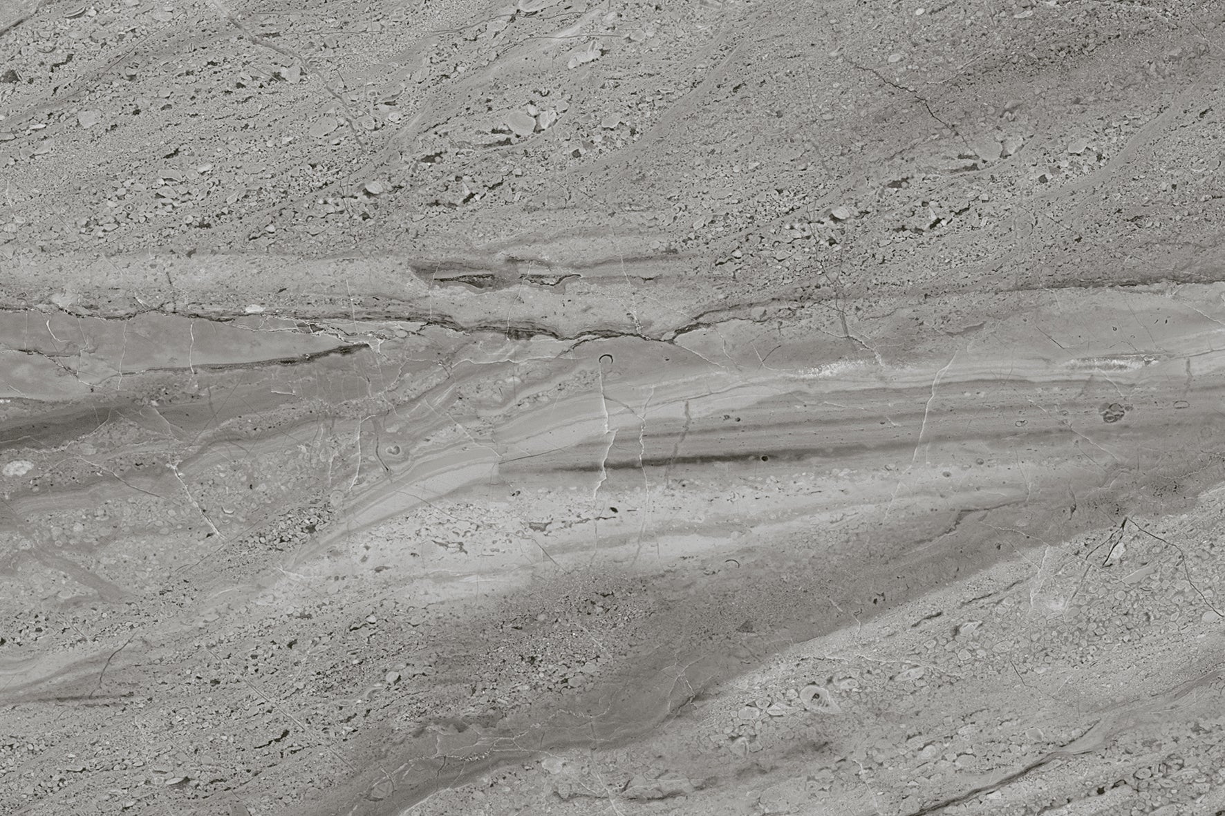 Roma Grey Gloss 30x45cm - £13.99 per M²