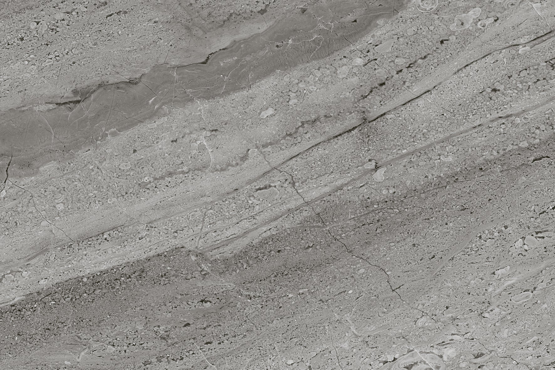 Roma Grey Gloss 30x45cm - £13.99 per M²